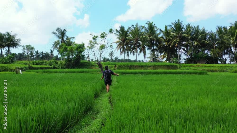 Young beautiful girl balancing and exploring her way through a remote rice field in Indonesia Young beautiful girl balancing and exploring her way through a remote rice field in Indonesia