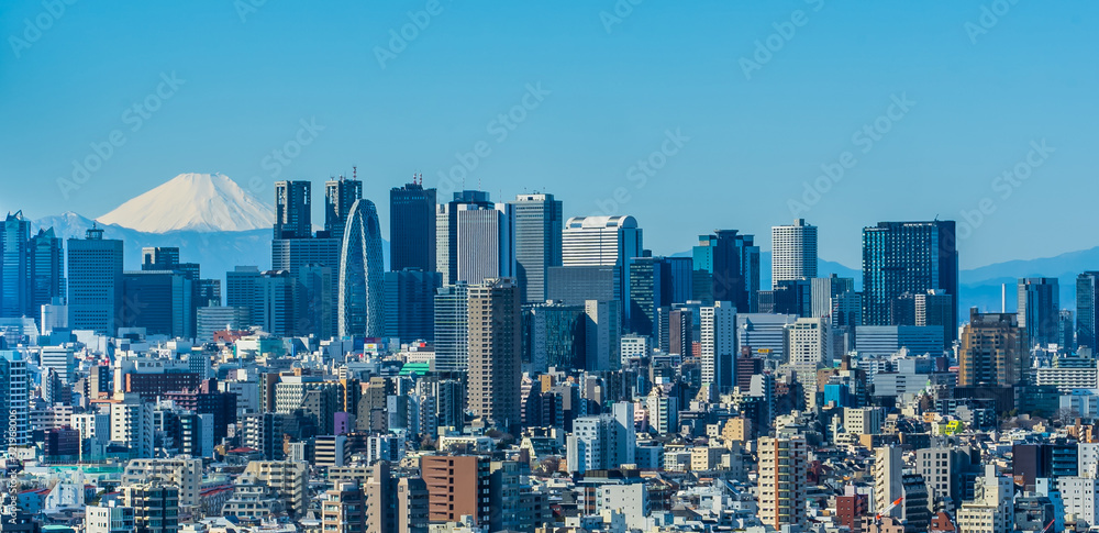東京 新宿の高層ビル群と富士山 ~Tokyo Shinjuku Skyscraper & Mt.Fuji ~