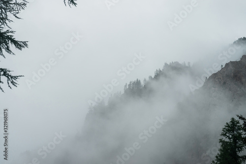 Ghostly alpine view through branches and low clouds to beautiful rockies. Dense fog among giant rocky mountains with trees. Atmospheric highland landscape. Big cliff in cloudy sky. Minimalist scenery. © Daniil