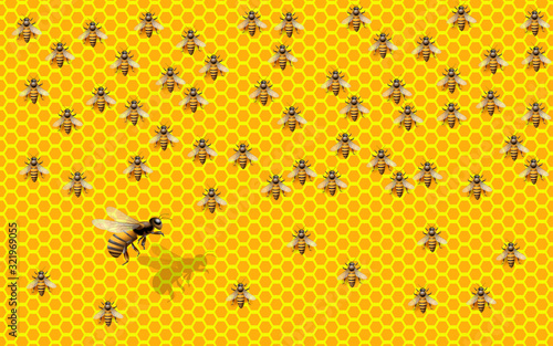 Worker bee on the honeycomb	