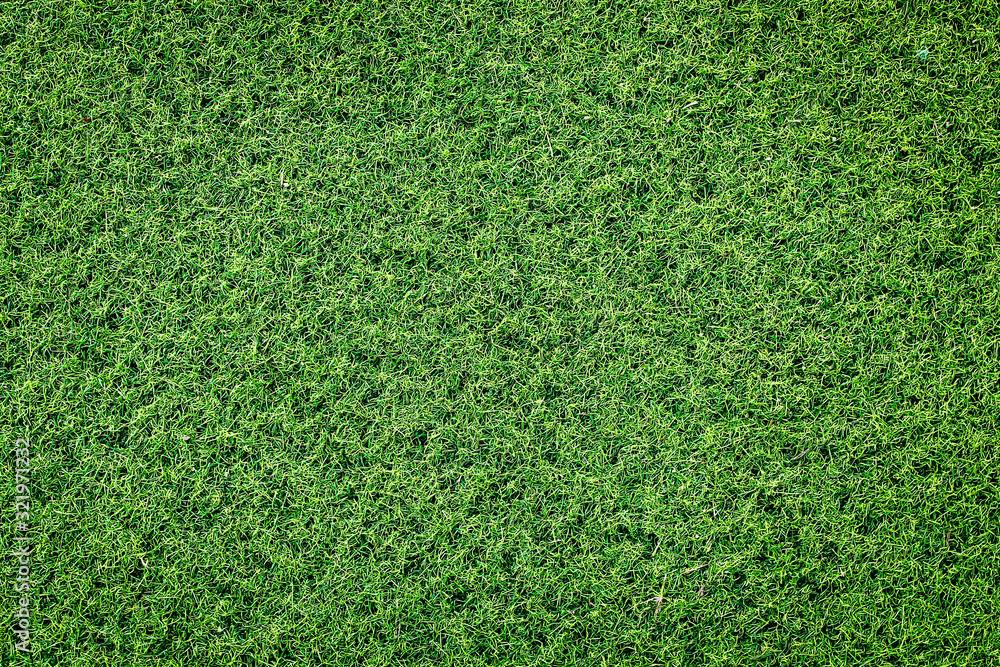 Fototapeta premium Green grass soccer field background.