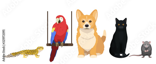House pets vector illustration. Cat, dog, parrot, leopard gecko and mouse isolated on white background, domesticated animal.