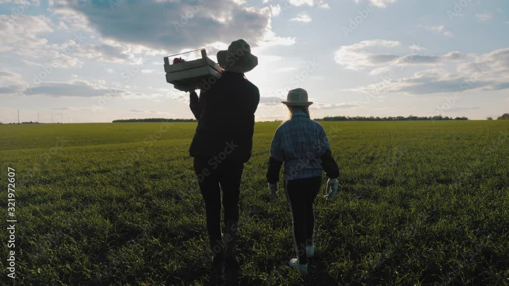 Family of farmers with box for vegetables harvesting crop on farm. Farming, gardening. Teamwork concept. Family of farmers with box for vegetables harvesting crop on farm. Farming, gardening. Teamwork concept.