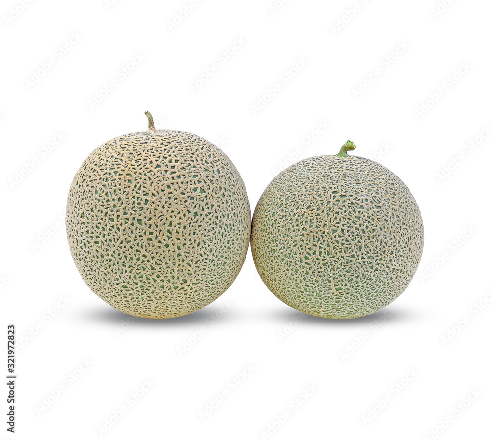 cantaloupe melon isolated on white background cantaloupe melon isolated on white background