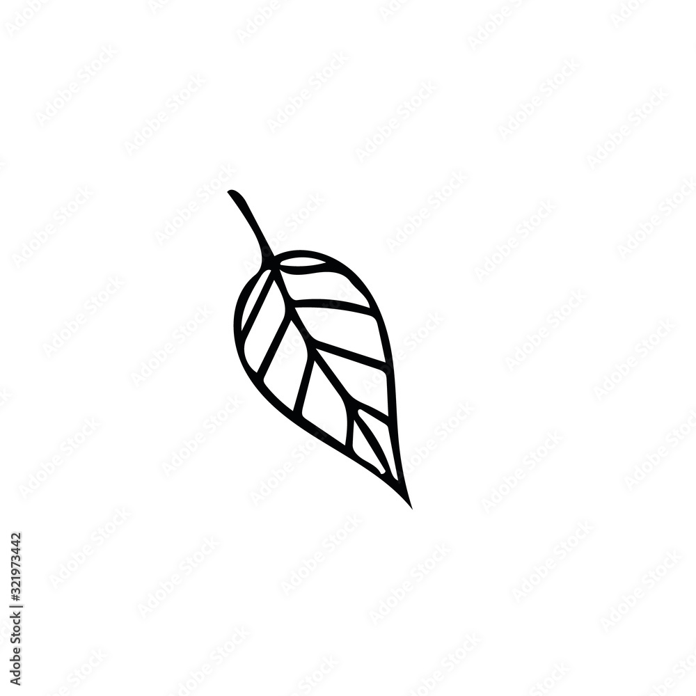 leaf hand drawn in doodle style. Element for logo design, icon, postcard, poster