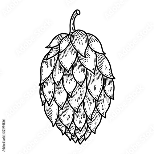 Beer hop illustration on white background. Design element for logo, label, emblem, sign. Vector illustration