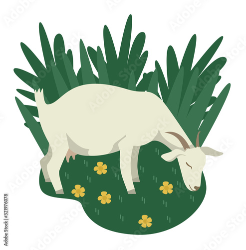 Farming today A White goat grazing on a green meadow Cartoon flat vector illustration Countryside and farmland, agricultural industrial Organic farm