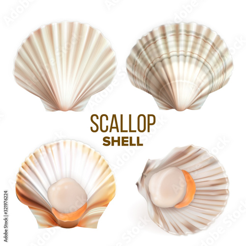 Scallop With Meat In Shell Seafood Set Vector. Collection Of Marine Fresh Food Mollusk Scallop. Exotic Delicious Shellfish. Restaurant Dish And Travel Souvenir Template Realistic 3d Illustrations