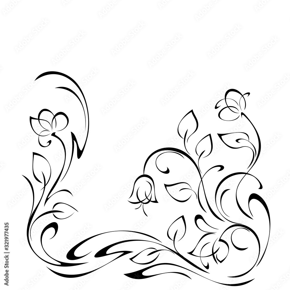 Obraz premium ornament 1026. decorative element with flower buds on stems with leaves and curls in black lines on a white background