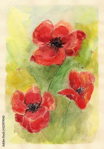 Watercolor of Poppy Flowers