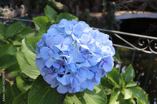 Portugal 포르투갈 Porto, Lisbon 리스본, 포르토