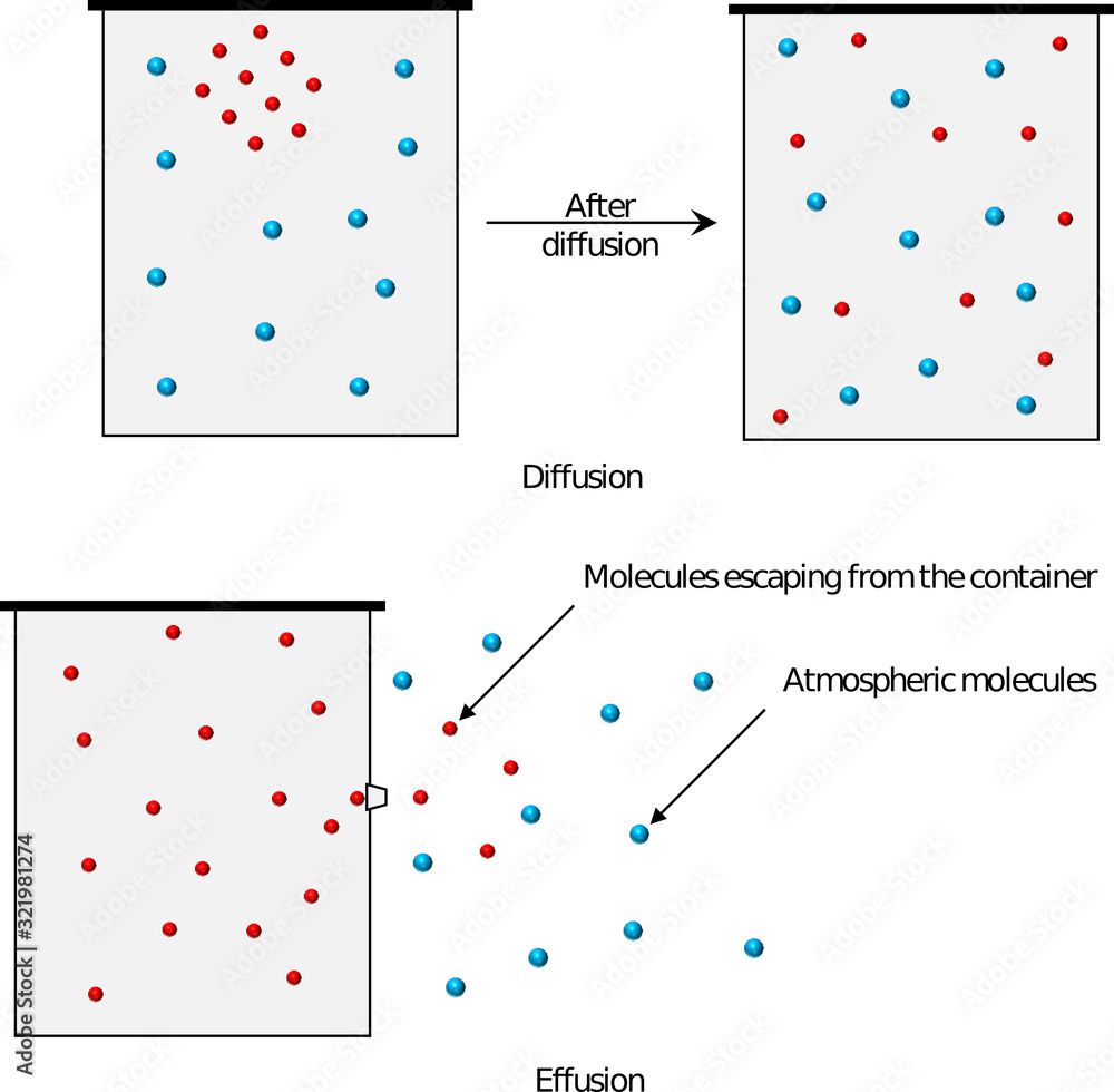 Graham's law of diffusion and effusion Stock Illustration | Adobe Stock