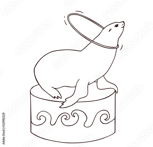 Seal spinning hula hoop in outline style, vector illustration of circus eared seal isolated on white background, coloring page for children