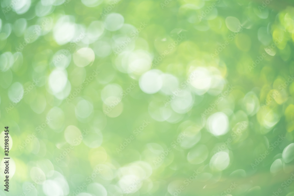 Obraz premium Copy space of nature green bokeh sun light flare and blur leaf abstract texture background.