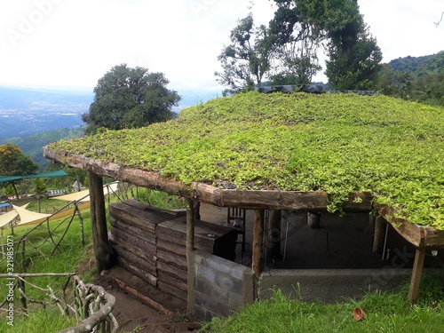 Green roof at Hobbitanango, guatemala.