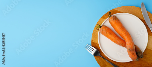 Two ugly carrots of funny shape on a white flat plate, knife and fork, light blue background. Copy space, top view.