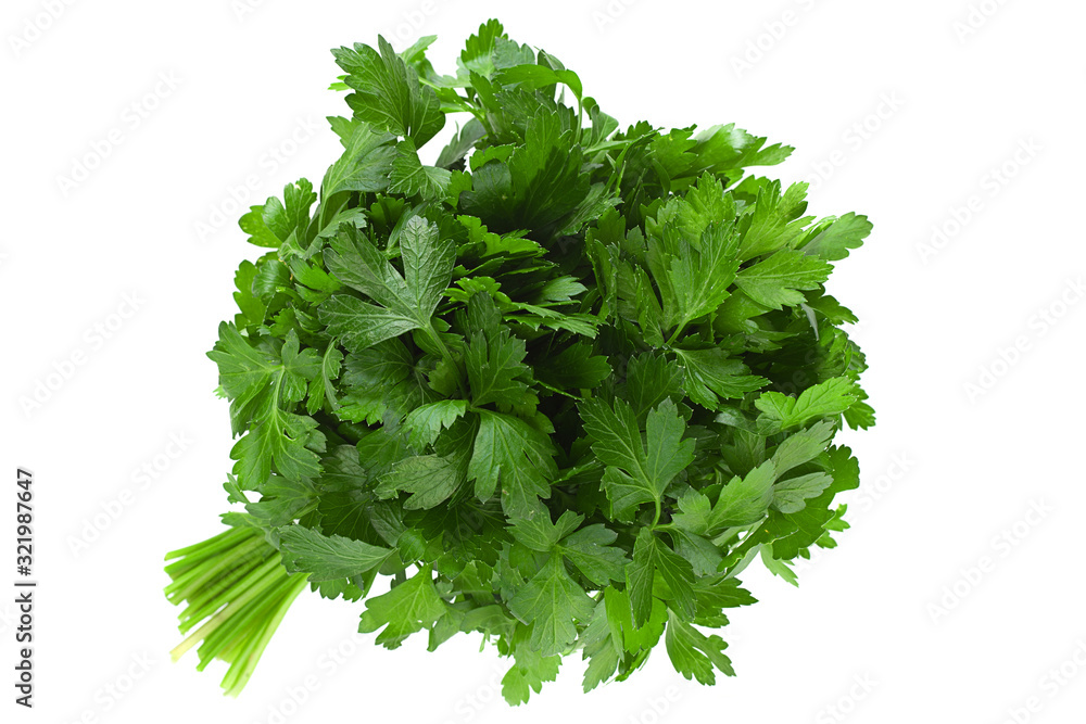 Fototapeta premium Parsley herb bunch