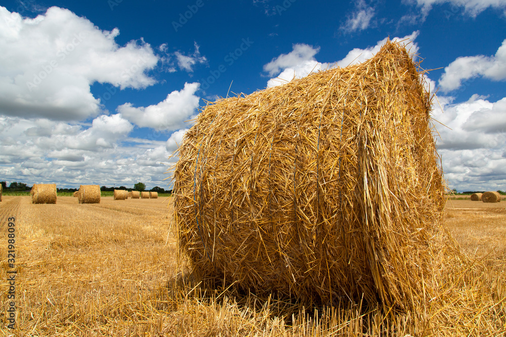 Large round bales of wheat straw on a blue sky with clouds
