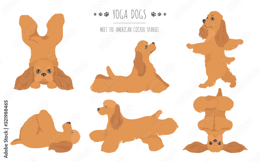 Fototapeta premium Yoga dogs poses and exercises poster design. American cocker spaniel clipart