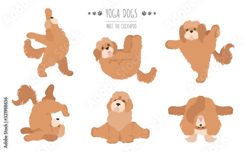 Yoga dogs poses and exercises poster design. Cockapoo clipart