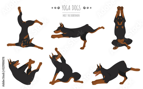 Yoga dogs_Doberman_1
