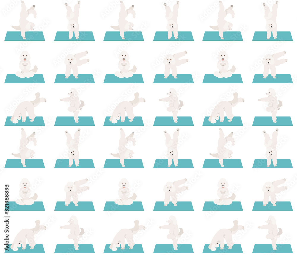 Yoga dogs poses and exercises seamless pattern design. Poodle clipart Yoga dogs poses and exercises seamless pattern design. Poodle clipart