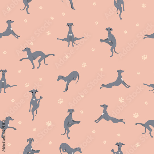 Yoga dogs poses and exercises seamless pattern design. Italian greyhound  clipart