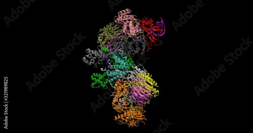 Crispr-cas 9 / Type I CRISPR-Cas System in cartoon ribbon representation, spinning on Y axis, 4K	
 photo