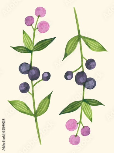 Wallpaper Mural Floral set of watercolor elements on a white background. Bright flowers, leaves and branches. Great for greeting cards, invitations, banners, flyers and designs. Torontodigital.ca