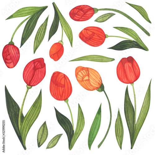 Bouquet of flowers in a vase in a watercolor style on a white background. Floral composition. Bright flowers, leaves and branches. Great for greeting cards, invitations, banners, flyers and designs