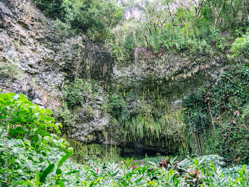 Wailua River Cruise & Grotto Tour takes you on a cruise down the Wailua River to the botanical beauty of Fern Grotto on Kauai. photo