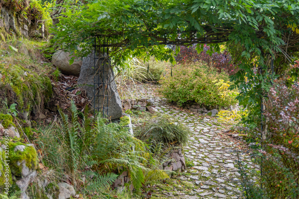 idyllic garden scenery