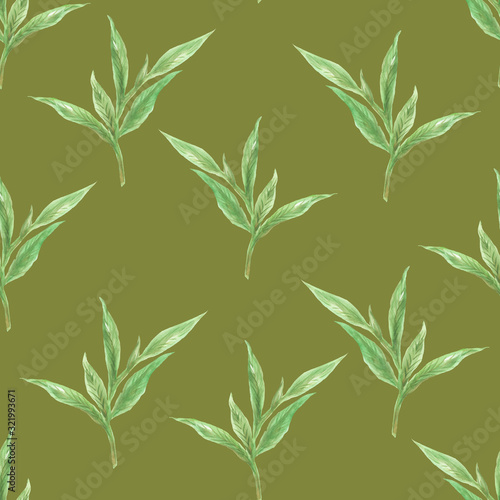 Watercolor Botanical seamless pattern with green leaves Design for fabric  wallpaper  textile  web design Isolated