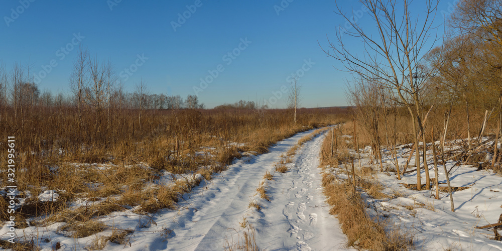 Walking through the forest, beautiful panorama. Walking through the forest, beautiful panorama.