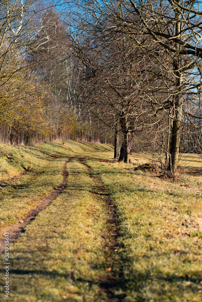 Fototapeta premium Way to the nowhere, CZ