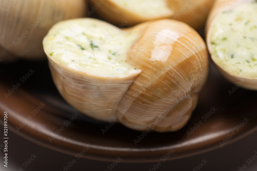 still life of stuffed snail sauce, on a white background still life of stuffed snail sauce, on a white background