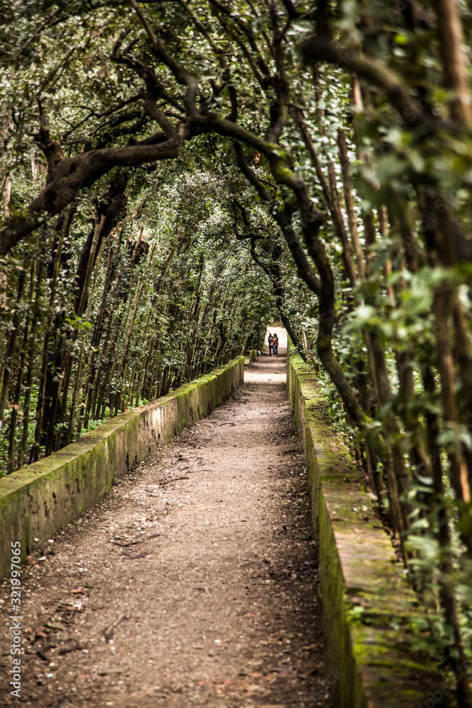 Italia, Toscana, Firenze, il Giardino di Boboli. Italia, Toscana, Firenze, il Giardino di Boboli.