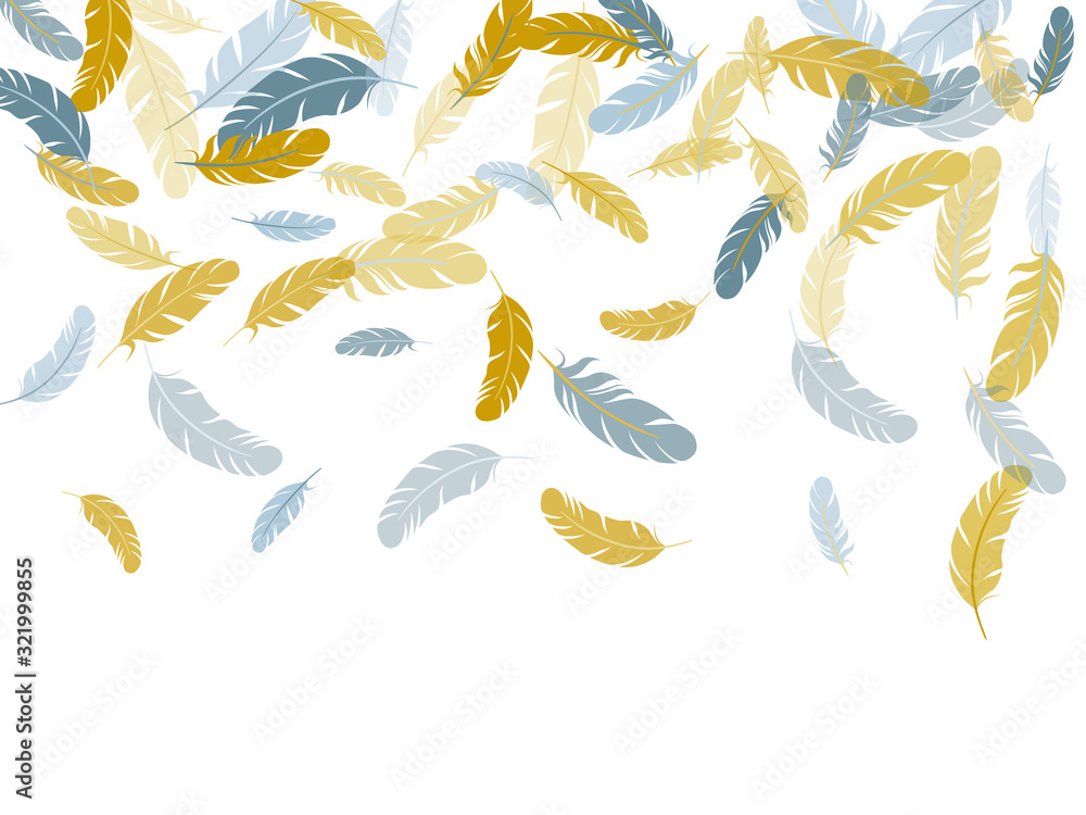 Falling feather elements soft vector design. Falling feather elements soft vector design.