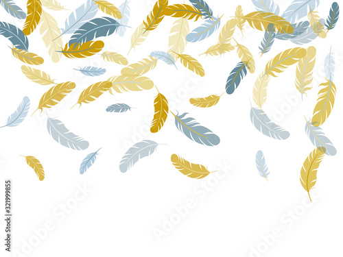 Falling feather elements soft vector design.