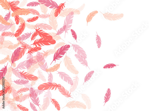 Falling feather elements soft vector design.