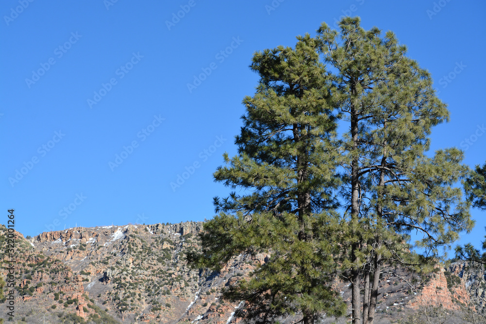 The Mogollon Rim mountain range in Tonto National Forest. Near Payson, Gila County, Arizona USA The Mogollon Rim mountain range in Tonto National Forest. Near Payson, Gila County, Arizona USA