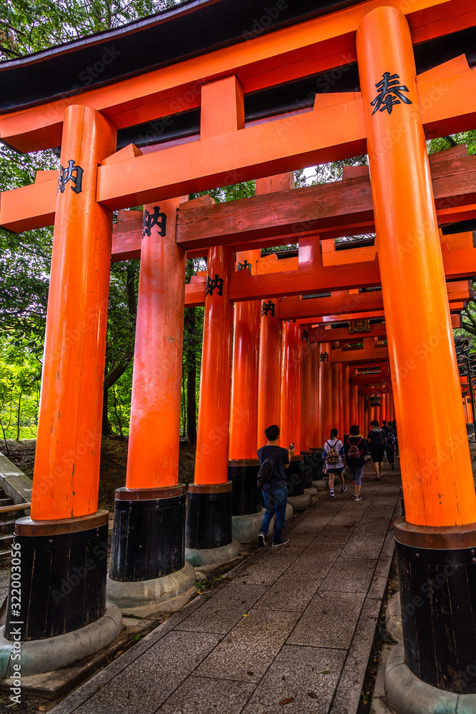 Torii path at Fushimi Inari shrine, Kyoto, Japan. There are more than 10,000 full sized torii gates at Fushimi Inari