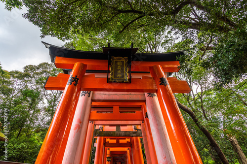 Kyoto  Japan  August 2019 - Detail of the organge torii covering the scenic pathway of Fushimi Inari shrine  one of the most famous tourist destination of Japan
