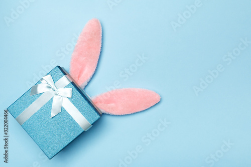 Photography Easter rabbit fluffy ears with a gift box on a blue background