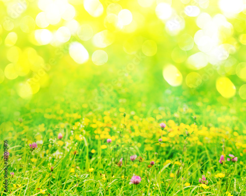 Spring nature background with green grass, wildflowers and bokeh