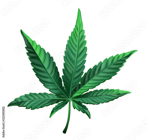 Realistic vector illustration of cannabis leaf. Green marijuana leaf isolated. Vector eps 10.