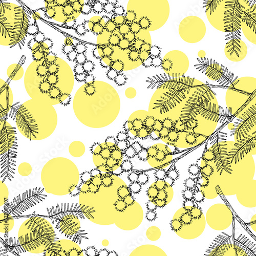 Seamless pattern with hand drawn blooming mimosa or silver wattle flowers.