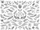 Hand drawn floral decor leaves. Sketch ornamental branches, decorative leafs and flowers vector illustration set. Collection of sprigs, natural design elements, monochrome floristic decorations.