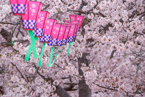 桜とランタン 春イメージ