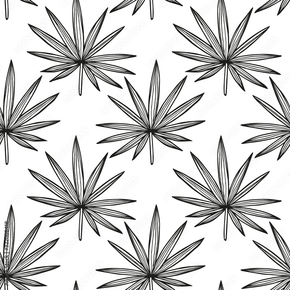 Hand drawn abstract seamless pattern with Chamaerops palm leaves. Exotic tropical leaves isolated on a white background. Cute template for cards, fabric, wrapping paper. Vector illustration